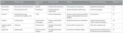 Barriers and opportunities: Intercellular mitochondrial transfer for cardiac protection—Delivery by extracellular vesicles